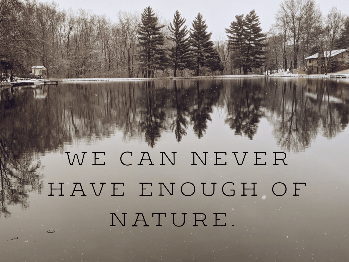 What to do with&nbsp;Imbolc